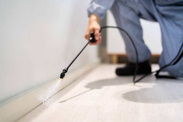 Licensed Pest Control service in Romulus, MI - Nex Pest Control
