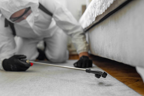 Professional Pest Control technician working in Romulus, MI