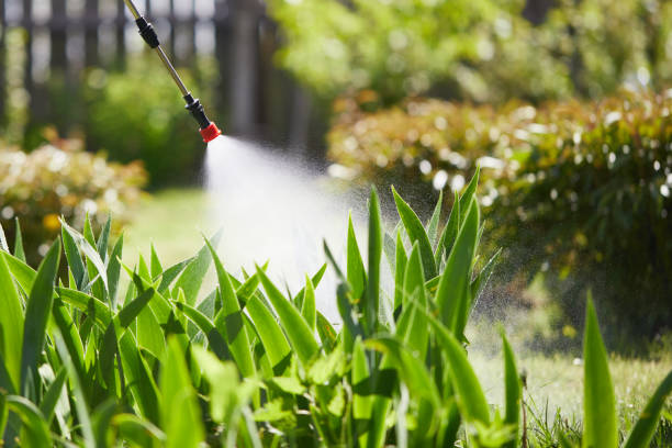 24/7 Emergency Pest Control experts in Romulus, MI