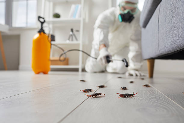 Affordable Pest Control solutions in Romulus, MI