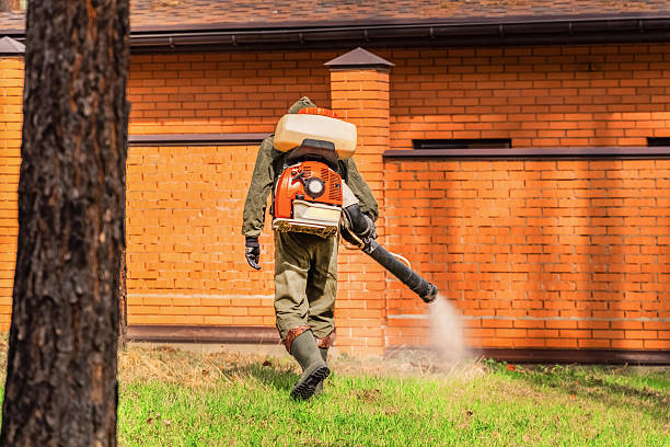 Top rated local Pest Control specialists in Romulus, MI